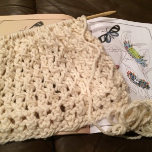 Day 37: More knitting and coloring of butterflies...but I'm not complaining.